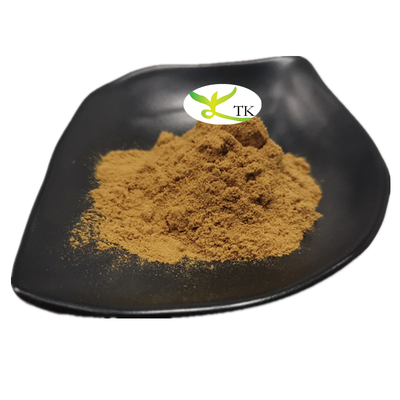 Natural Healthcare Supplement Ingredient Chasteberry Extract Powder