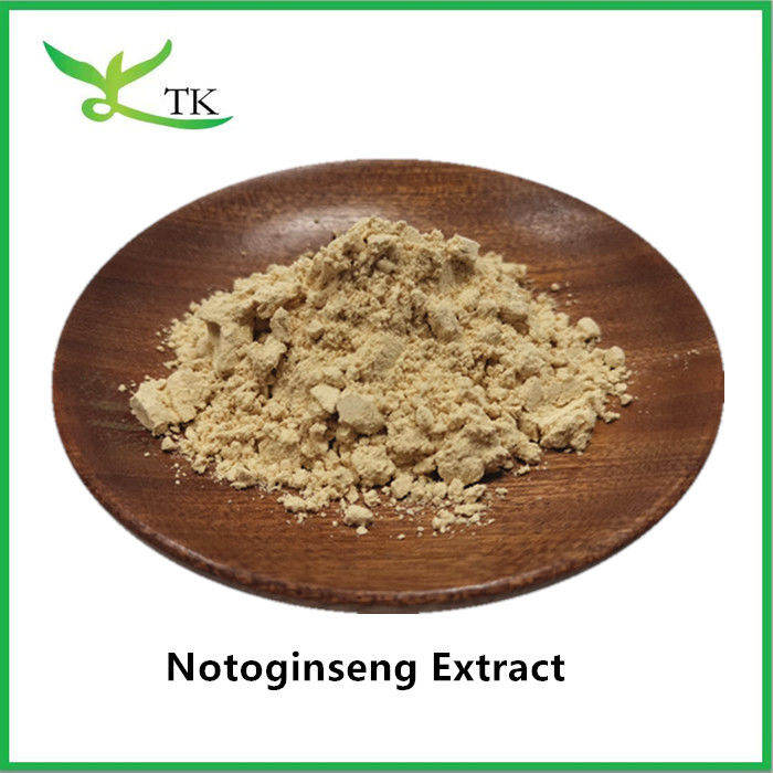 Wholesale Price Natural Plant Extract Notoginseng Extract Powder Panax Notoginseng Extract