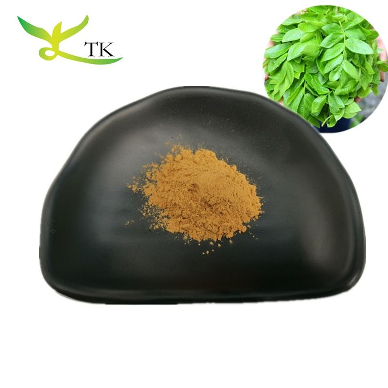 Wholesale Price Natural Food Grade Cyclocarya Paliurus Extract Powder Cyclocarya Paliurus Tea Leaf Powder
