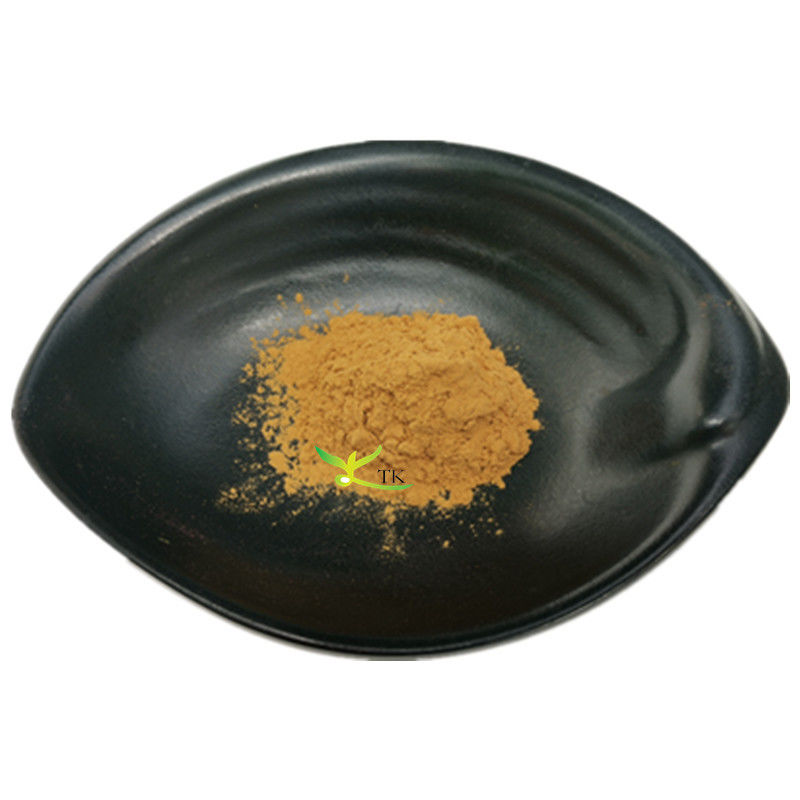 Food Grade Arugula Powder 10:1 Arugula Extract Powder Eruca Sativa Extract Powder