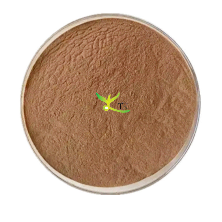 Natural Ginkgo Biloba Extract Leaf Extract Ginkgo Flavonoids 24% Lactone 6%