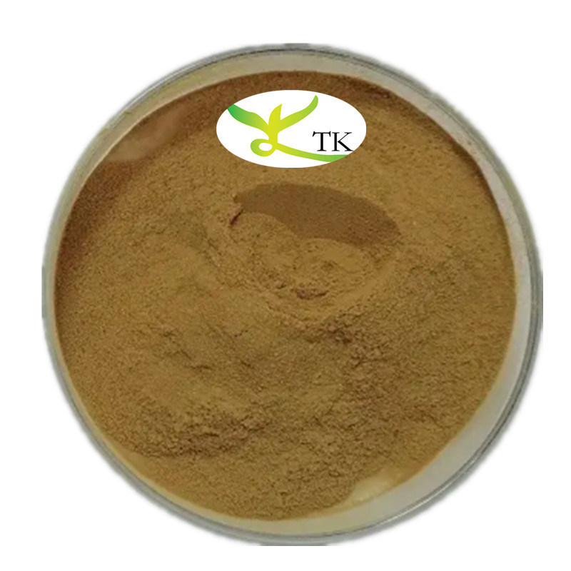 Wholesale Price 100% Natural Oregano Powder Water Soluble Oregano Leaf Extract in Bulk
