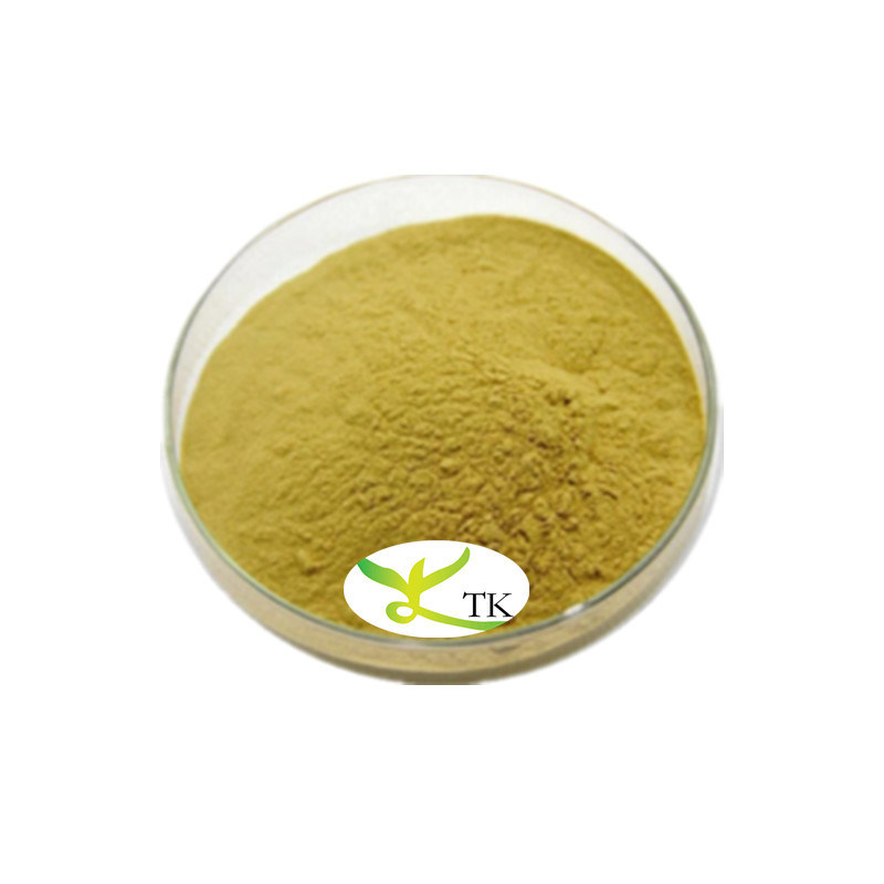Pure Natural Piper Methysticum Extract Kava Root Powder 5% Kavalactones