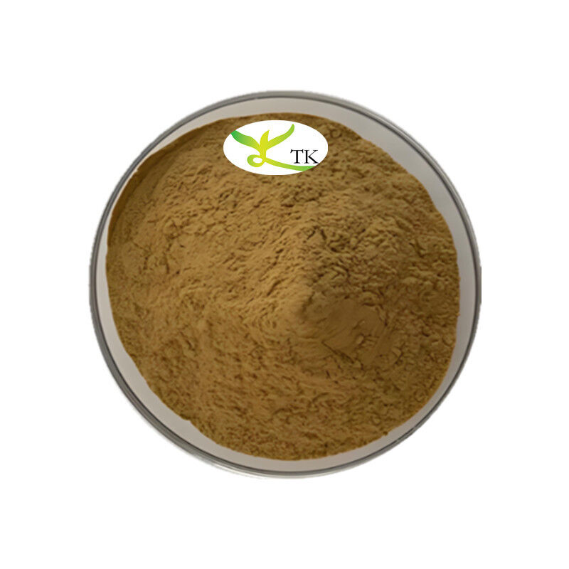 Wholesale Price 100% Natural Food Grade Vitex Trifolia Extract Powder 4:1 10:1