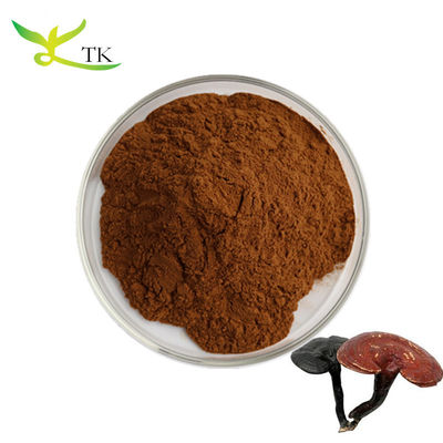 Extrait naturel de Ganoderma Lucidum Polysaccharides 30% Extrait en poudre de champignon Reishi rouge organique
