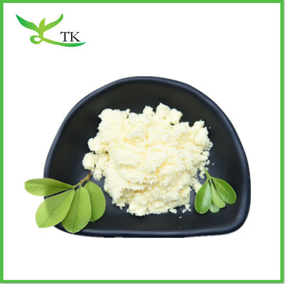 Extrait végétal en poudre Gingerol Racine de gingembre en poudre Ginger en poudre pour les soins de santé