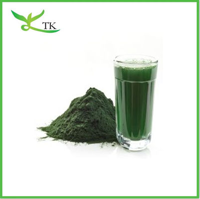 50% de protéines Chlorella naturelle organique pure en poudre Chlorella vulgaris en poudre
