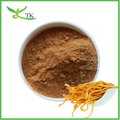 Extrait de champignon naturel en poudre Cordyceps Militaris Extrait en poudre Polysaccharide Cordycepine