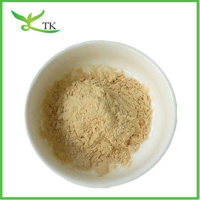 Enzyme nattokinase Poudre de super-aliments Jaune clair