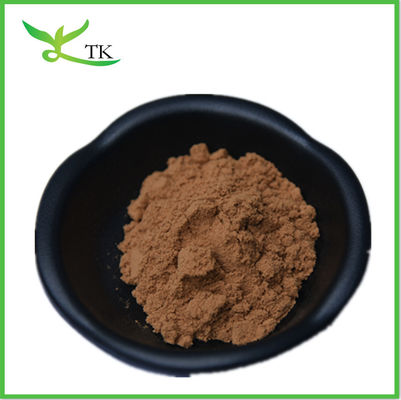 30% de polysaccharide en poudre d'extrait de champignon Chaga