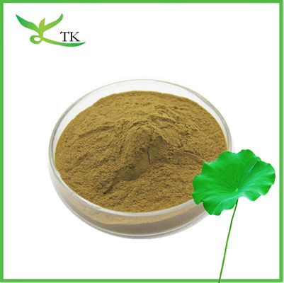Perte de poids Poudre d'extrait de feuille de lotus naturel Nuciférine 2% 98% Poudre de feuille de lotus