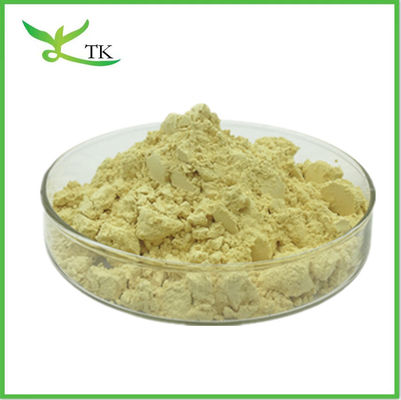 Extrait de racine de kava en poudre Kavalactone 10% 30% Extrait de méthysticum de pipère de kava