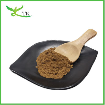 Poudre de spores de champignons naturels Lingzhi, à l'écorce cassée de Ganoderma Lucidum Reishi
