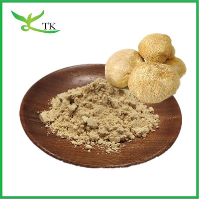 Supplément de soins de santé Puri Hericium Erinaceus naturel en poudre Poudre de champignons à la crinière de lion