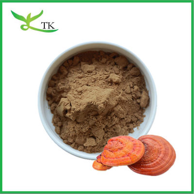 Meilleur prix 100% extrait de champignon Reishi en poudre Polysaccharides 30%