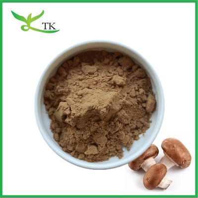 Poudre d'extrait de champignon 100% naturel pur Poudre d'extrait de champignon Shiitake