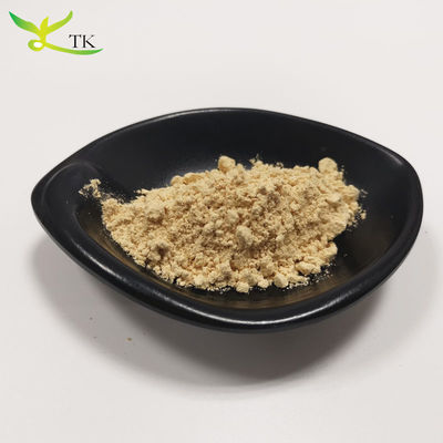 Super-aliments Soins de santé Hericium Erinaceus Extrait Poudre de champignons à la crinière de lion