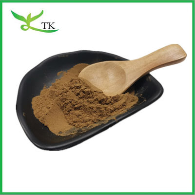 Extrait végétal naturel d'extrait de racine de Coleus Forskohlii en poudre 20% 98% Forskoline