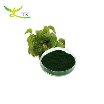 Vente en gros Meilleur prix Pigment en poudre Chlorophylle Sodium Copper Chlorophylle en vrac