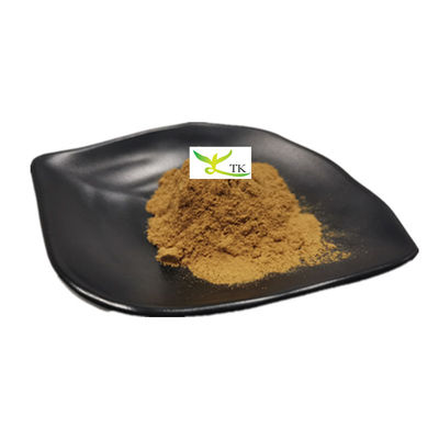 Prix en gros Poudre d'extrait végétal naturel 5% Flavonoïdes Poudre d'extrait de pissenlit