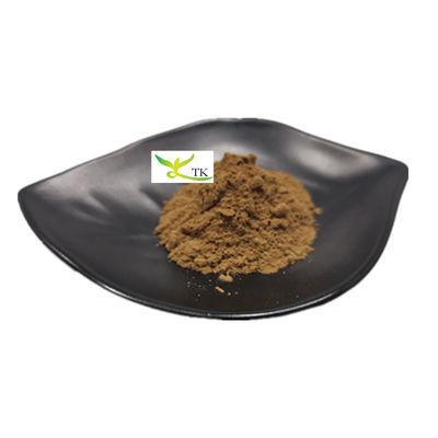 Extrait de champignon naturel polysaccharide 20% Poudre d'extrait de champignon Chaga