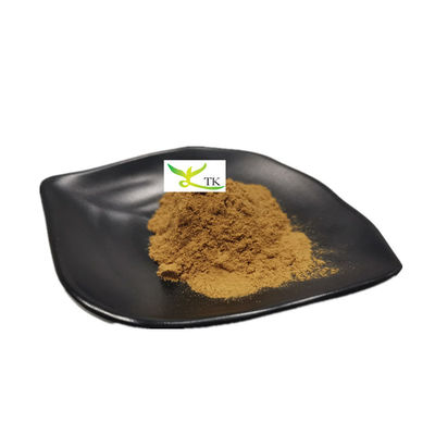Vente en gros de poudre d'extrait naturel de yucca schidigera Saponin 60% 80% Extrait de yucca