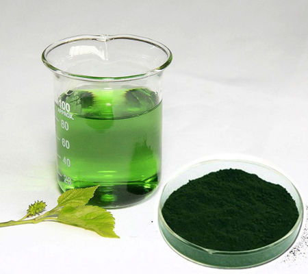 Produit en gros Prix de fabrication Extrait de mûrier naturel de chlorophylle pure en poudre en vrac
