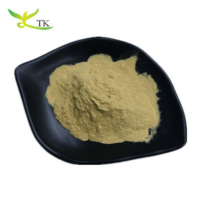 Poudre d'extrait de feuille d'olivier d'usine ISO Acide oléanolique Acide maslinique Oleuropéine Hydroxytyrosol
