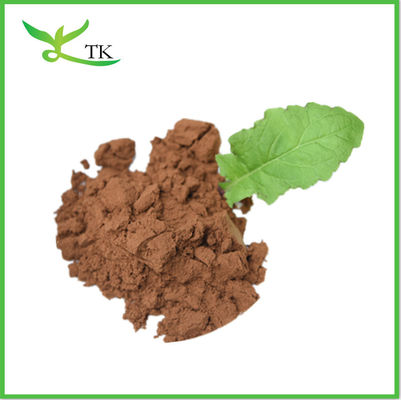 Lignosus Rhinocerus Beta Glucans Polysaccharides Poudre de champignons de lait de tigre Extrait