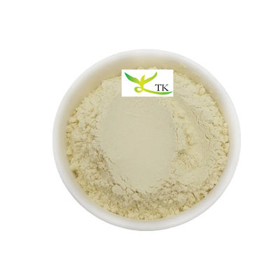 Extrait végétal naturel de feuilles de mangue Extrait en poudre Mangiferine 95% CAS 4773-96-0
