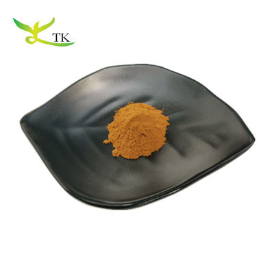 Extrait de plante naturel Extrait de romarin Poudre Acide carnoshique Acide ursolique Acide rosmarinique