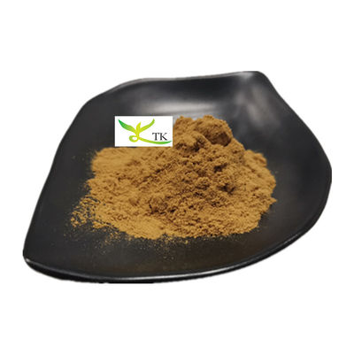 Extrait de champignon d'Osyter 100% naturel en poudre Extrait de Pleurotus Ostreatus
