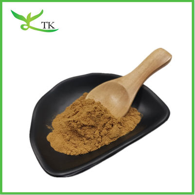 Poudre d'extrait de Cistanche Tubulosa 50% échinacoside + 10% verbascoside