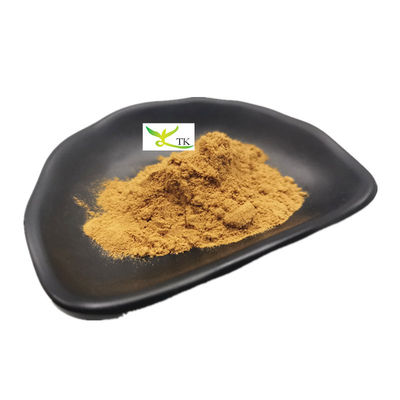 Extrait d'Astragalus Membranaceus naturel Astragaloside IV poudre de cycloastragénol