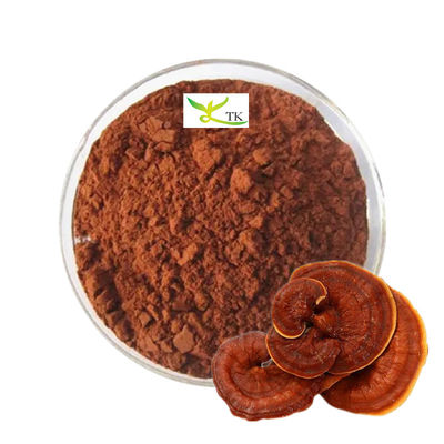 Prix en gros en vrac Poudre de spores de champignons Ganoderma Lucidum Reishi 100% naturel