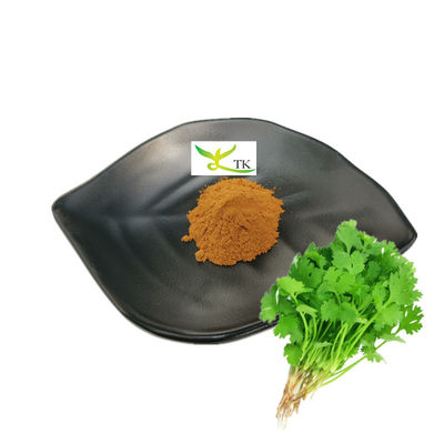 Prix en gros en vrac Extrait de coriandre naturel Extrait de coriandre sativum Extrait de coriandre Extrait en poudre