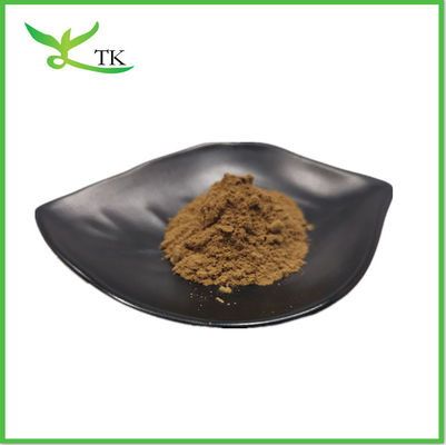 Supplément d'extrait de Cistanche Tubulosa en poudre 50% échinacoside + 10% verbascoside