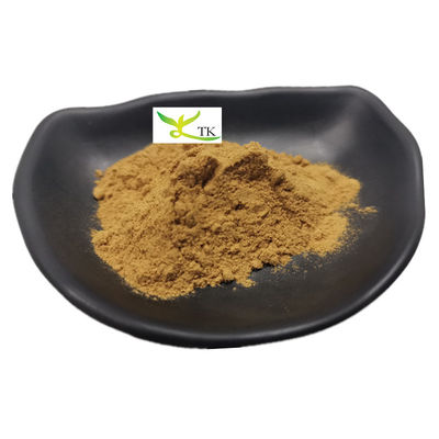 Prix en gros Offre Naturel Nasturtium Officinale Cresson d'eau Extrait 10:1 Cresson d'eau en poudre
