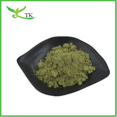 Moringa Oleifera en poudre de thé en gros Moringa feuille en poudre en capsules en poudre en vrac