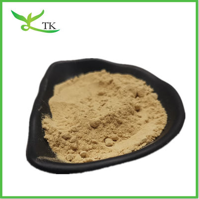 Supplément nutritionnel Pôle de pin Crêpe de paroi cellulaire Poudre comprimé Pôle de pin