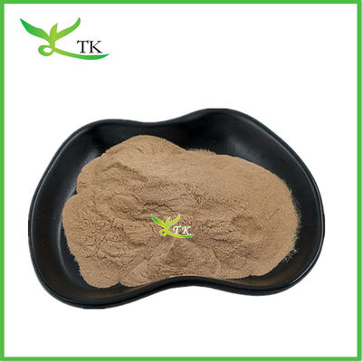 Extrait de champignons Shiitake Extrait en poudre Champignons Shiitake