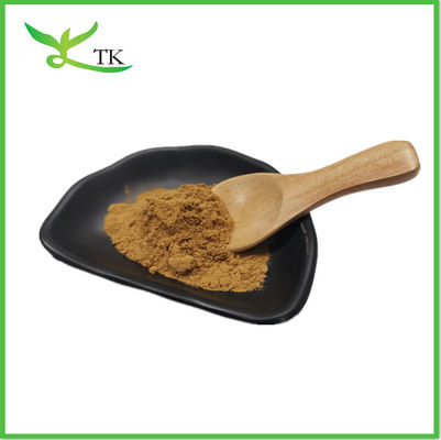 Cordyceps Sinensis 40% Polysaccharide Acide cordycépique Extrait de cordyceps sinensis