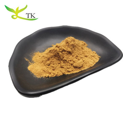 Prix en gros en vrac Plantago asiatica L. Extrait de Plantago en poudre Plantago Quata Extrait