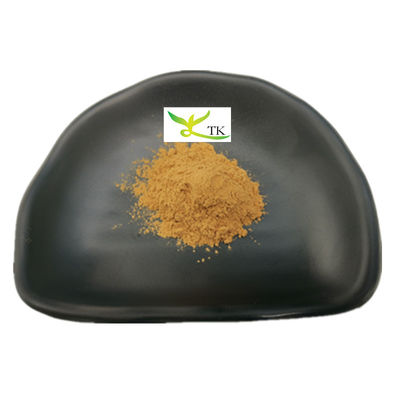 Prix en gros Extrait de cannelle naturel en poudre Extrait d'écorce de cannelle en poudre Polyphénol de cannelle