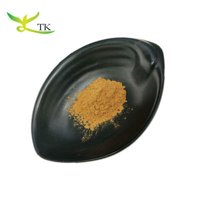 Supplément à base de plantes Poudre de graines de cuscuta naturelle pure 10:1 Extrait de graines de dodder pour hommes