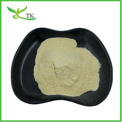 Fournir des suppléments de santé Poudre de feuilles de neem Poudre de feuilles de neem Poudre de thé Poudre de neem