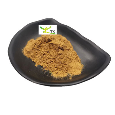 Supplément à base de plantes naturelles Panax Quinquefolius Poudre d'extrait 10:1 20:1 Poudre d'extrait de ginseng américain