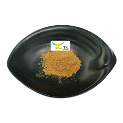 Prix en gros Portulaca Oleracea naturelle Purslane Extrait d'herbes en poudre Purslane Extrait 10:1