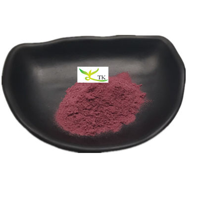 Produit d'usine ISO Extrait naturel de bleuets 25% Poudre anthocyanidine 5%