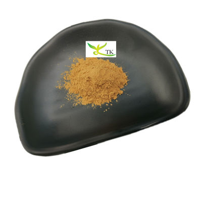 Prix de gros Extrait naturel d'agaricus bisporus en poudre 10% à 50% Polysaccharides